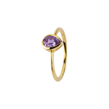 Jacques Lemans SE-R123F54 Damenring Ring Gr. 54 Sterlingsilber vergoldet mit Amethyst